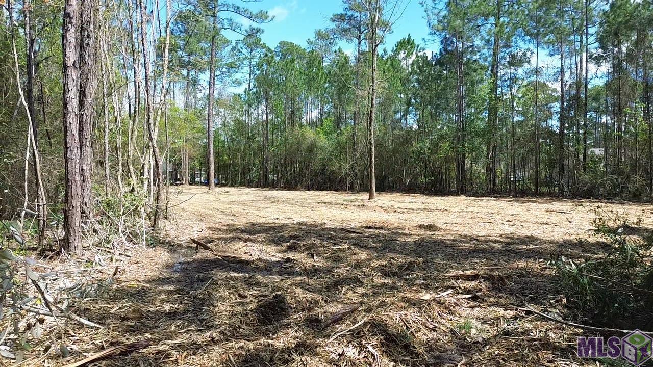 73335 Penn Mill Road Covington, LA 70435 - Photo 5 of 20 Gallery Image 5