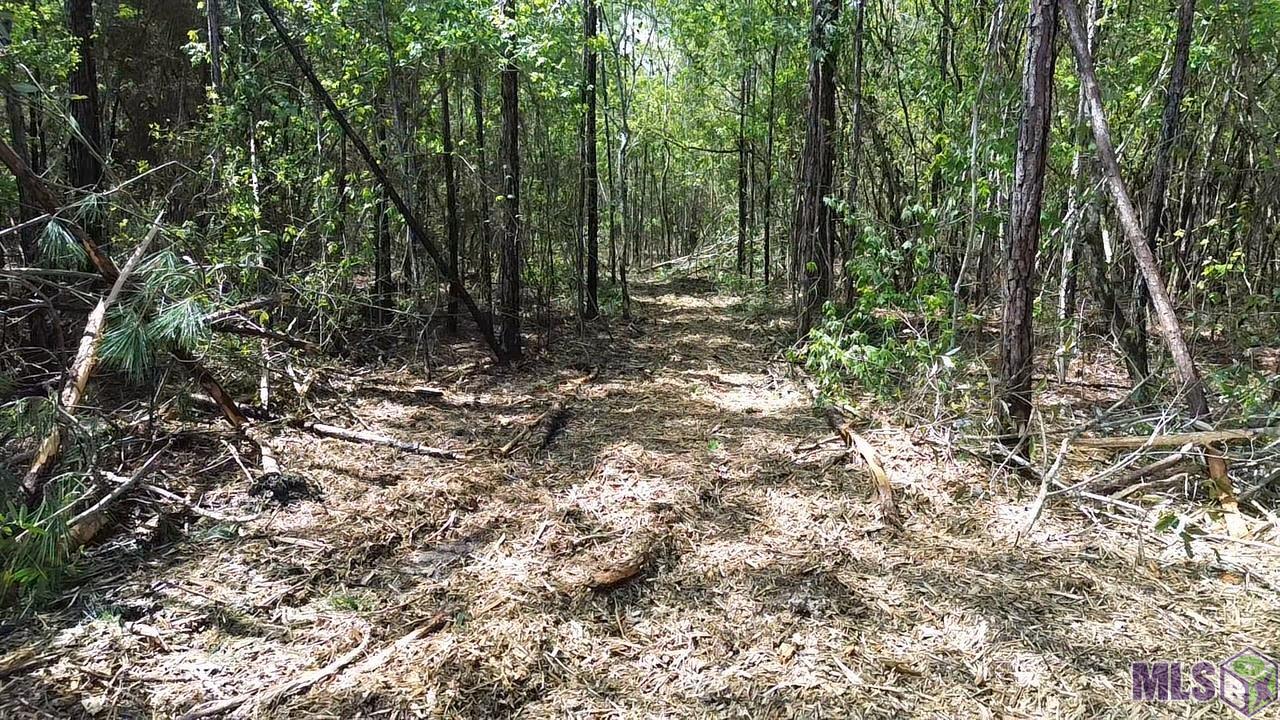 73335 Penn Mill Road Covington, LA 70435 - Photo 6 of 20 Gallery Image 6