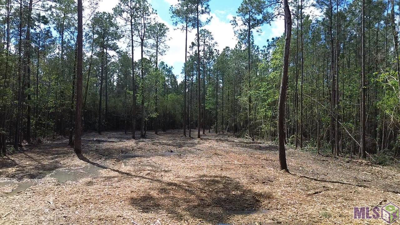 73335 Penn Mill Road Covington, LA 70435 - Photo 8 of 20 Gallery Image 8
