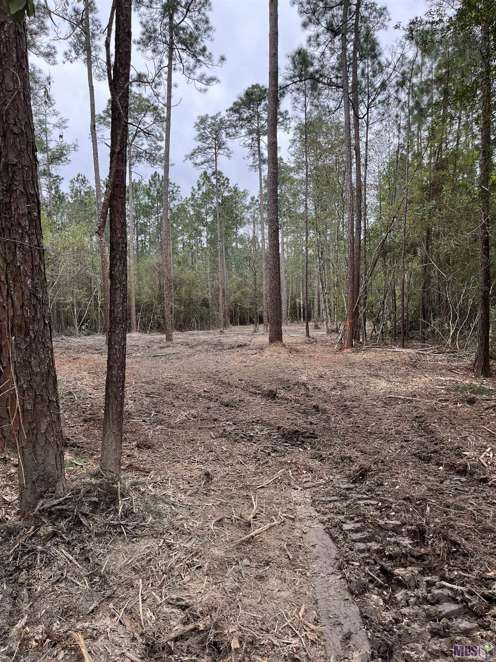 73335 Penn Mill Road Covington, LA 70435 - Photo 9 of 20 Gallery Image 9