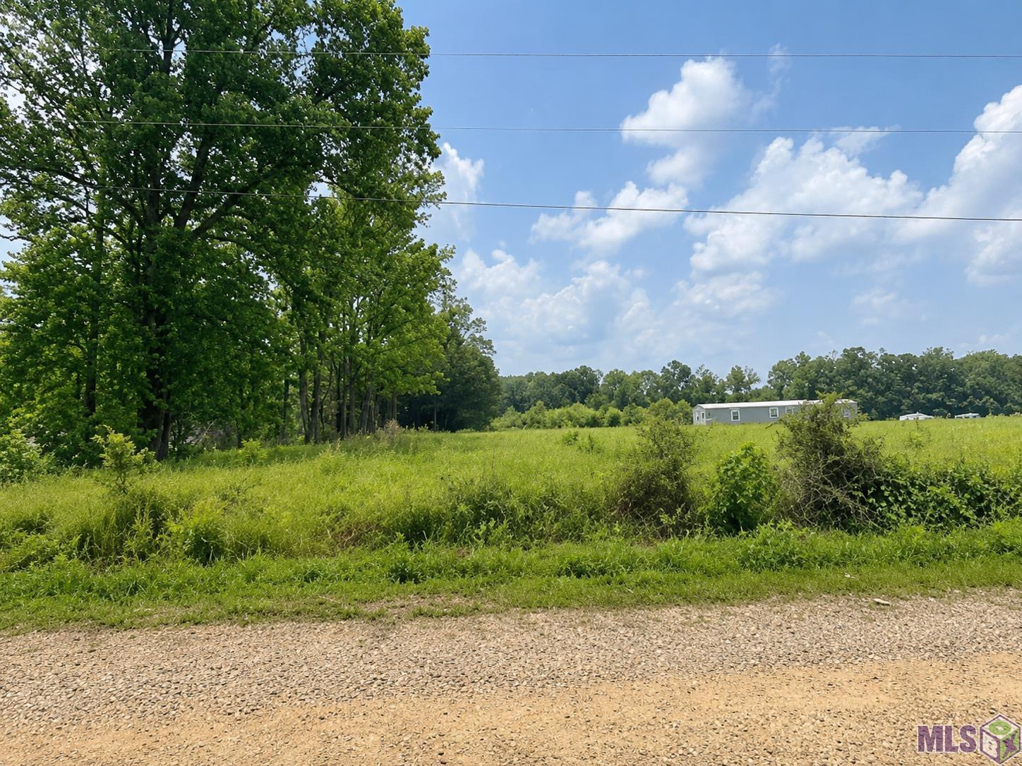 1101 Leonard Chapel Road Independence, LA 70443 - Photo 1 of 3