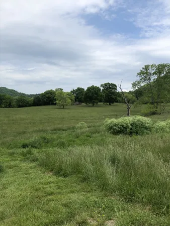 a view of an outdoor space and a yard