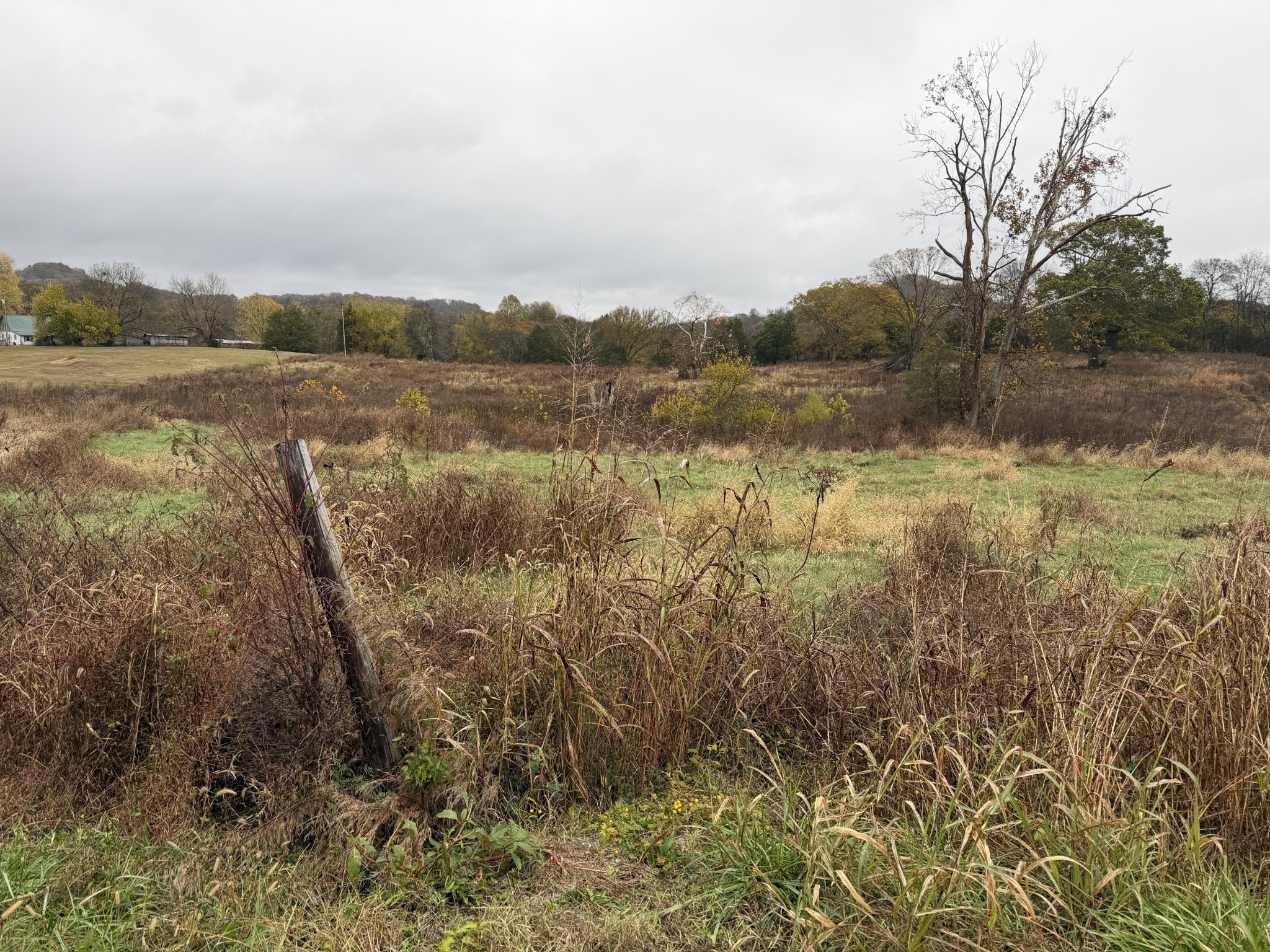 2 Hog Hollow Road Bethpage, TN 37022 - Photo 2 of 10 a view of lake with green space