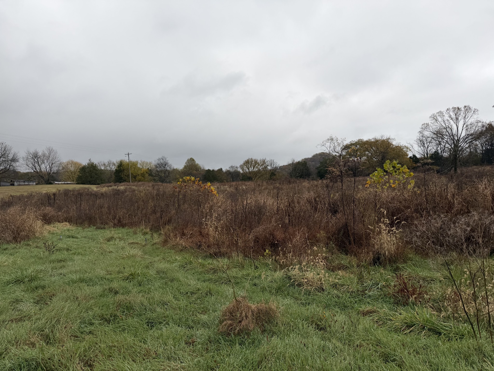 2 Hog Hollow Road Bethpage, TN 37022 - Photo 3 of 10 a view of a field of grass and trees