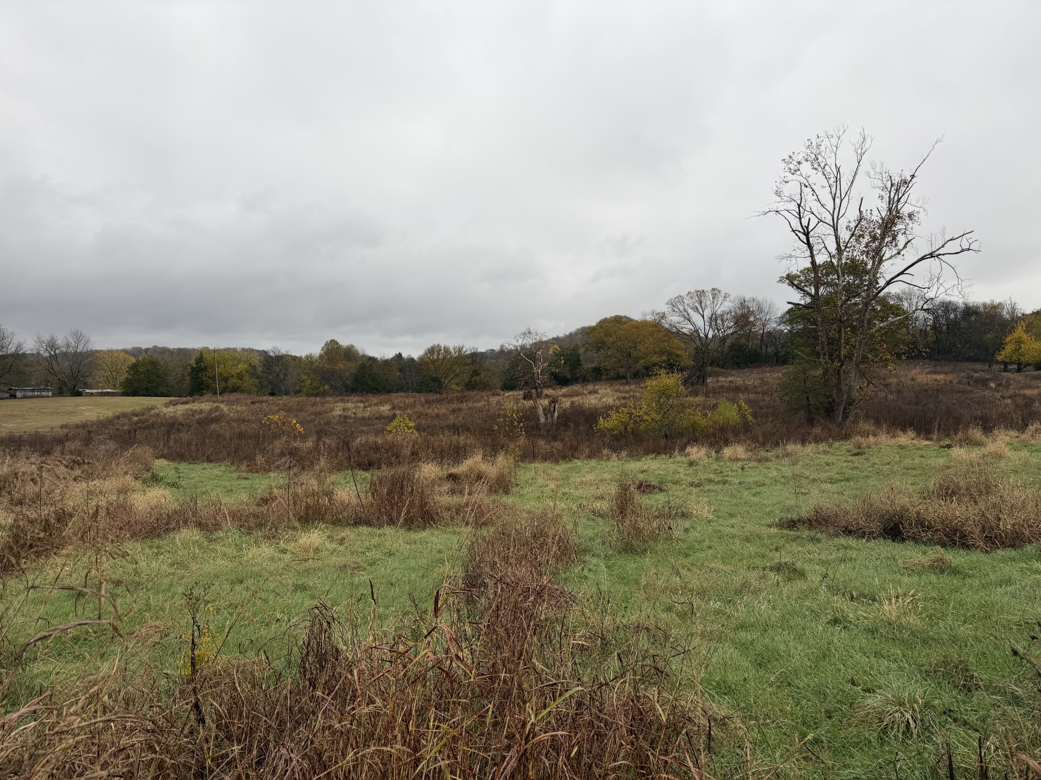 2 Hog Hollow Road Bethpage, TN 37022 - Photo 4 of 10 a view of a lake with houses in the back