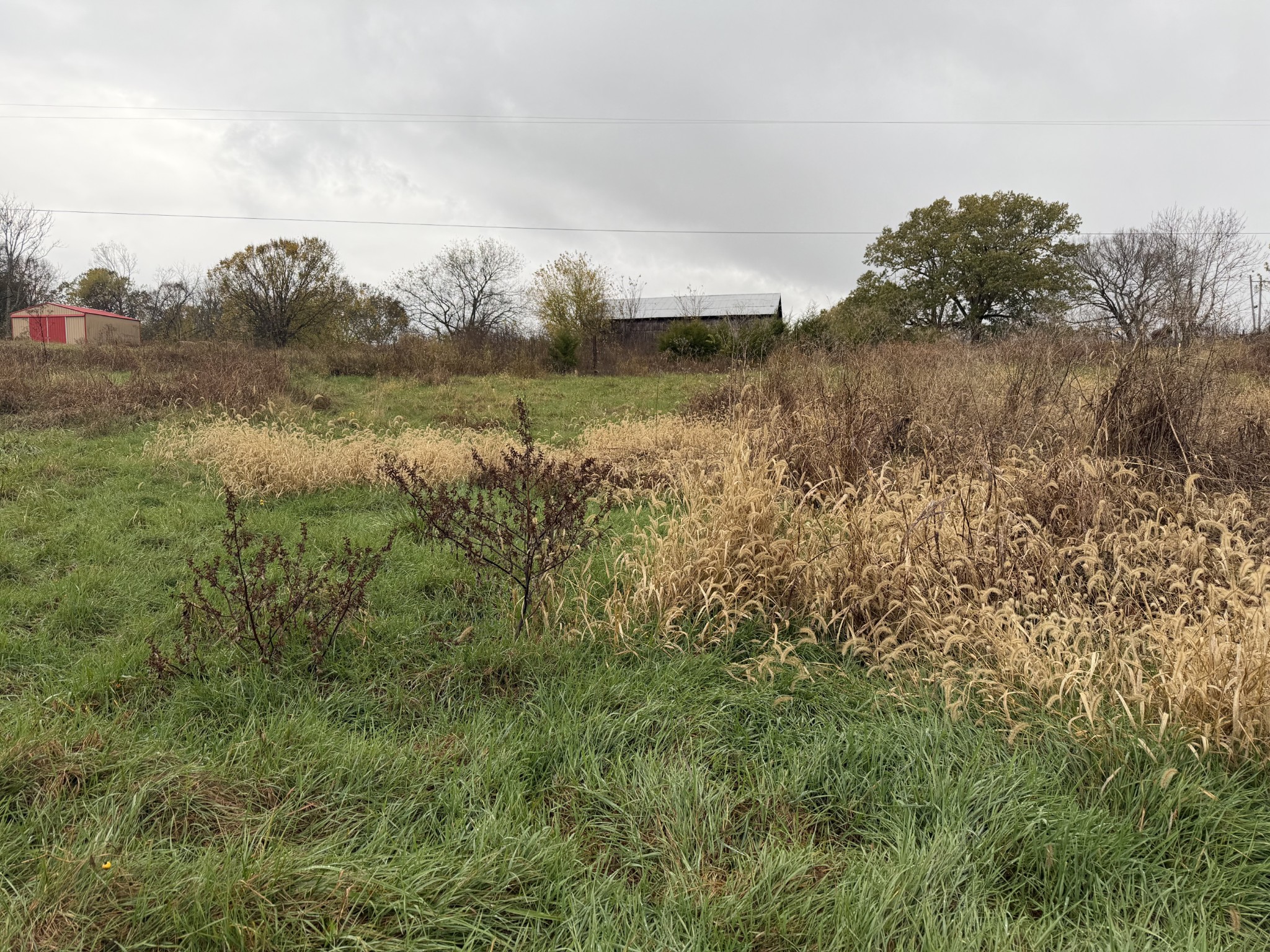2 Hog Hollow Road Bethpage, TN 37022 - Photo 5 of 10 a view of a lake with a yard