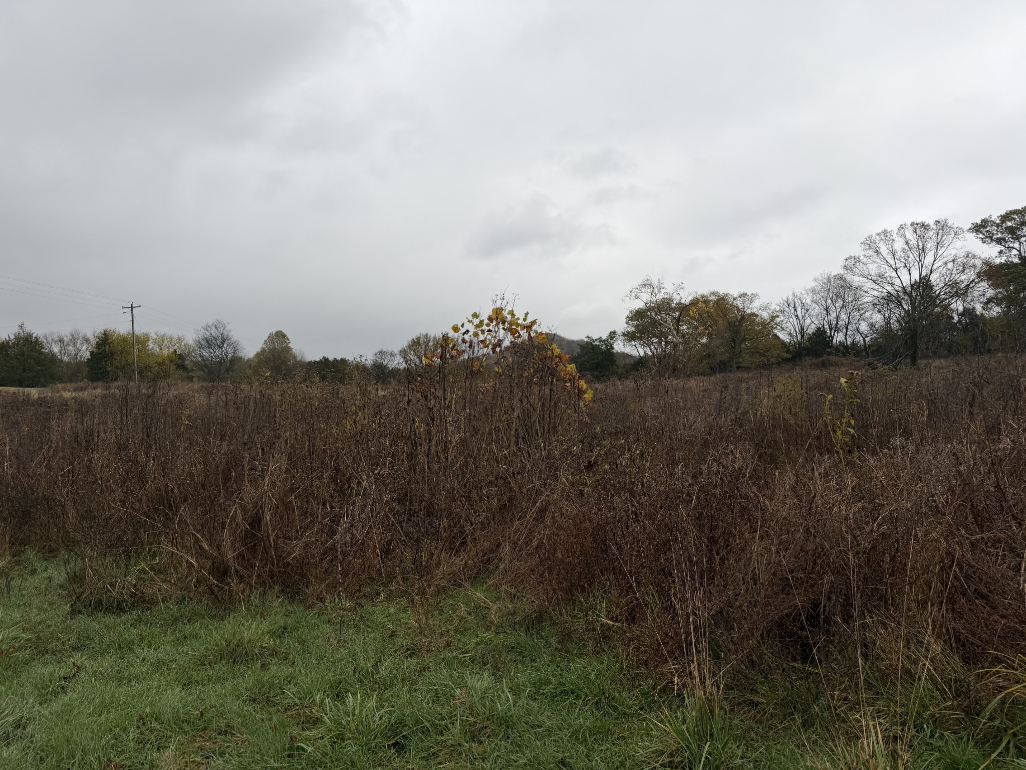 2 Hog Hollow Road Bethpage, TN 37022 - Photo 6 of 10 a view of mountain with lake view