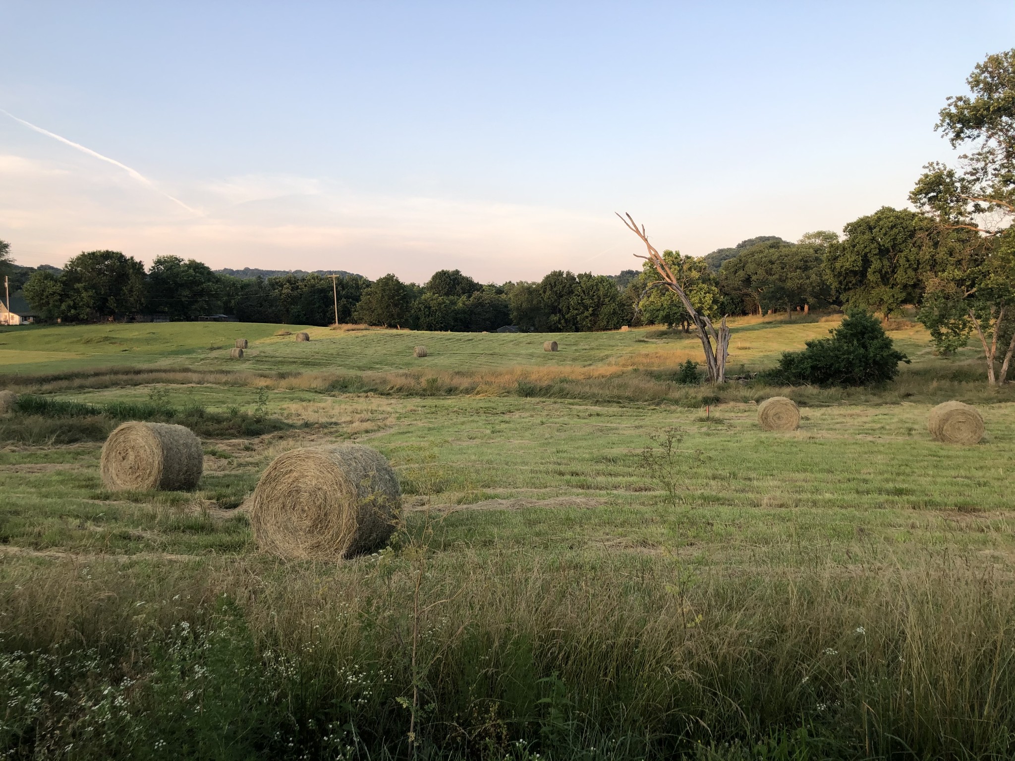 2 Hog Hollow Road Bethpage, TN 37022 - Photo 8 of 10 a view of a lake from a yard