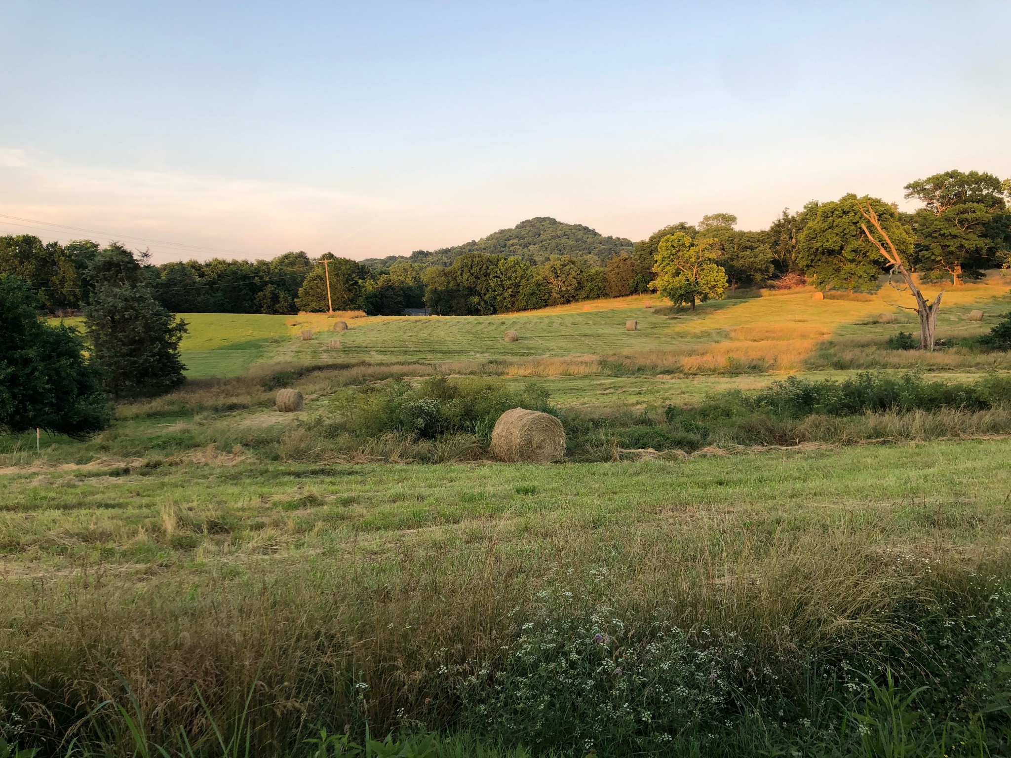 2 Hog Hollow Road Bethpage, TN 37022 - Photo 9 of 10 a view of a lake from a yard