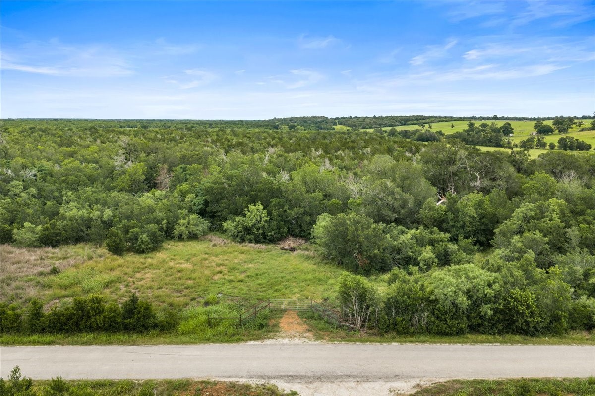 288 Charcoal Road Rosanky, TX 78953 - Photo 12 of 23 a view of a yard with an outdoor space