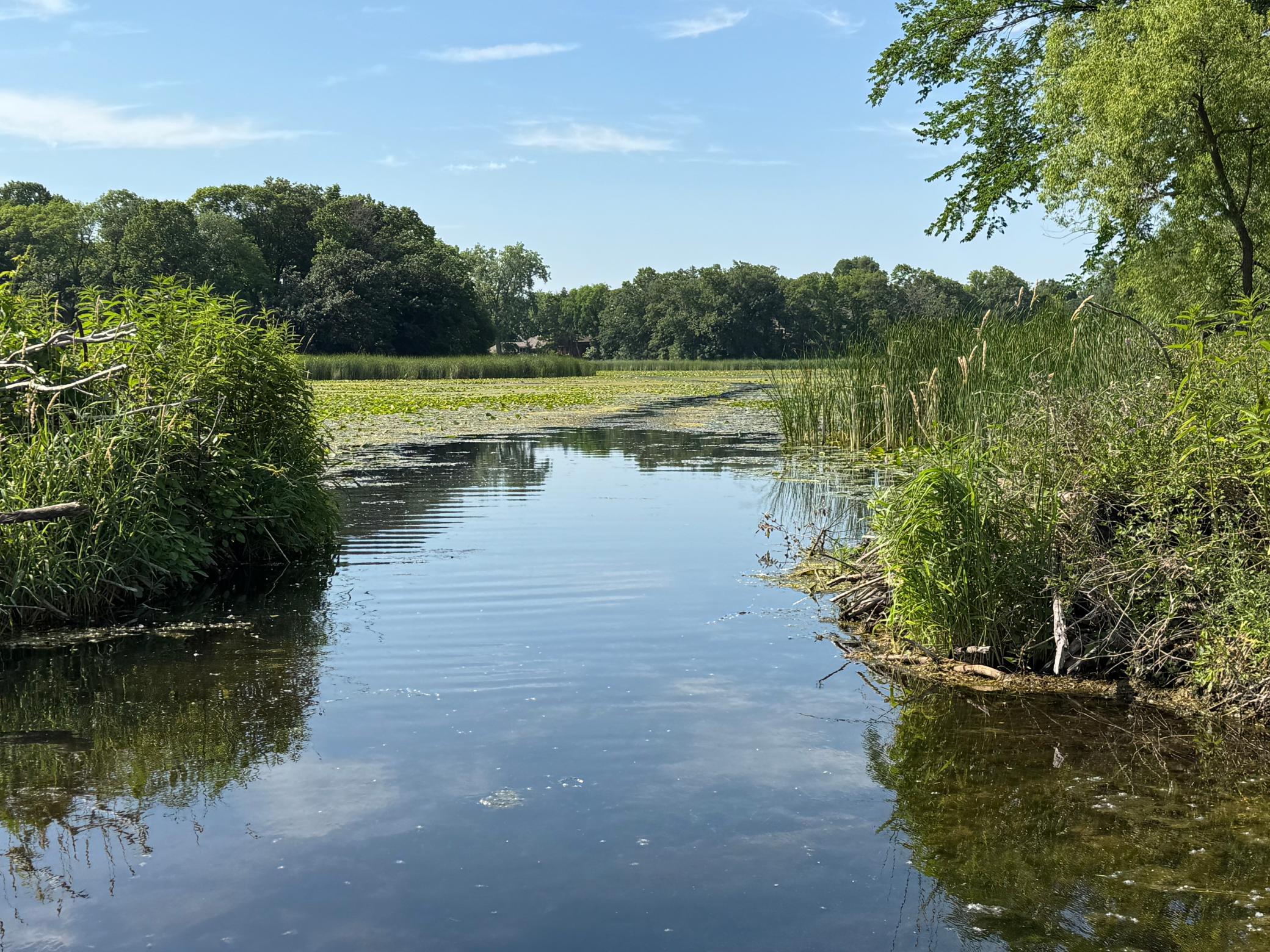 51-xx Waterbury Road Mound, MN 55364 - Photo 12 of 47