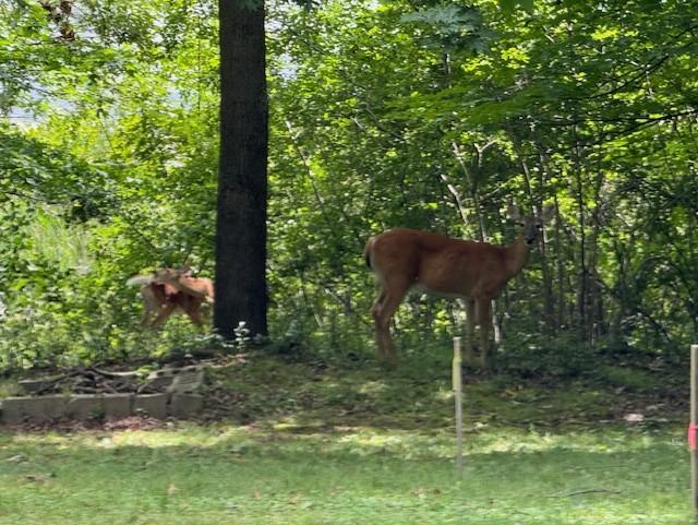 51-xx Waterbury Road Mound, MN 55364 - Photo 42 of 47
