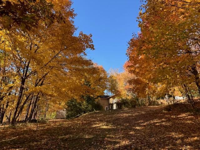 51-xx Waterbury Road Mound, MN 55364 - Photo 45 of 47