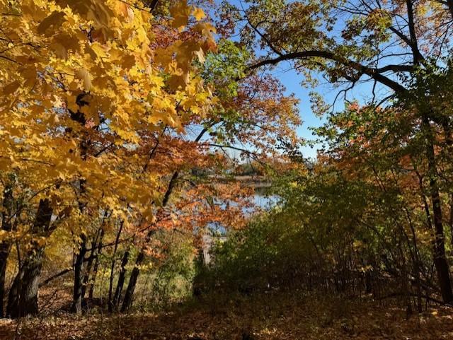 51-xx Waterbury Road Mound, MN 55364 - Photo 47 of 47