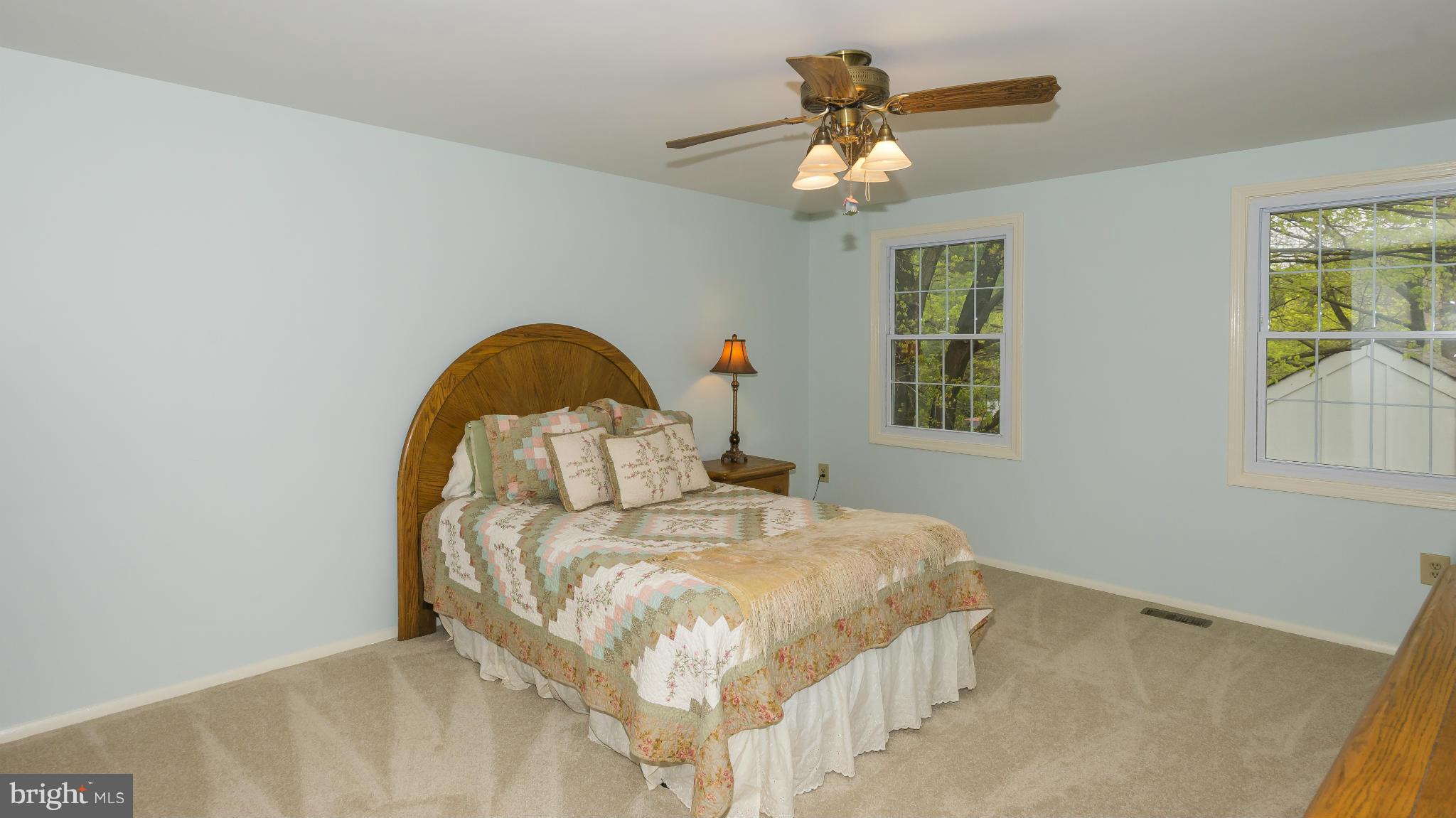 6072 Sunny Spring Columbia, MD 21044 - Photo 18 of 30 Bedroom (Master)