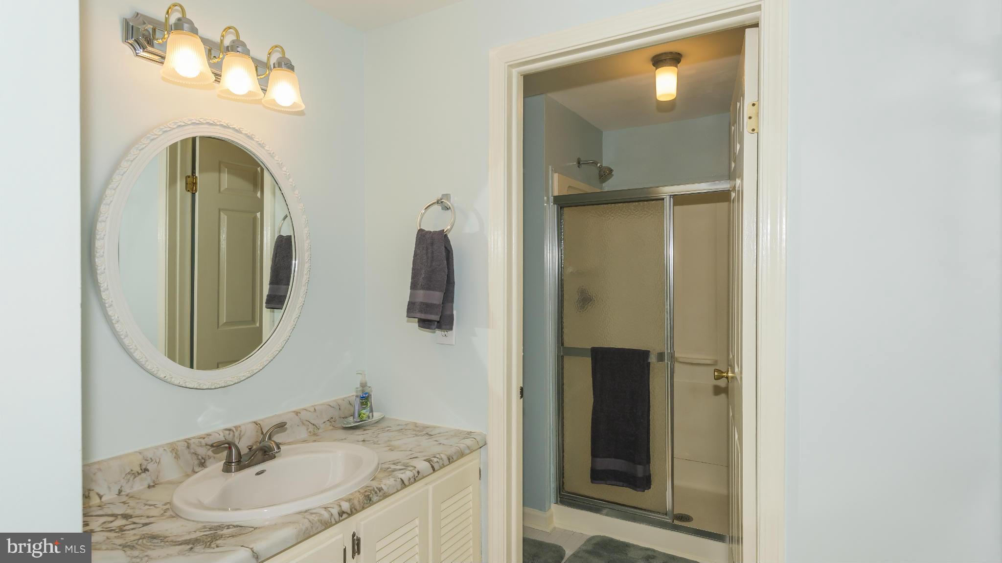 6072 Sunny Spring Columbia, MD 21044 - Photo 19 of 30 Bath (Master)
