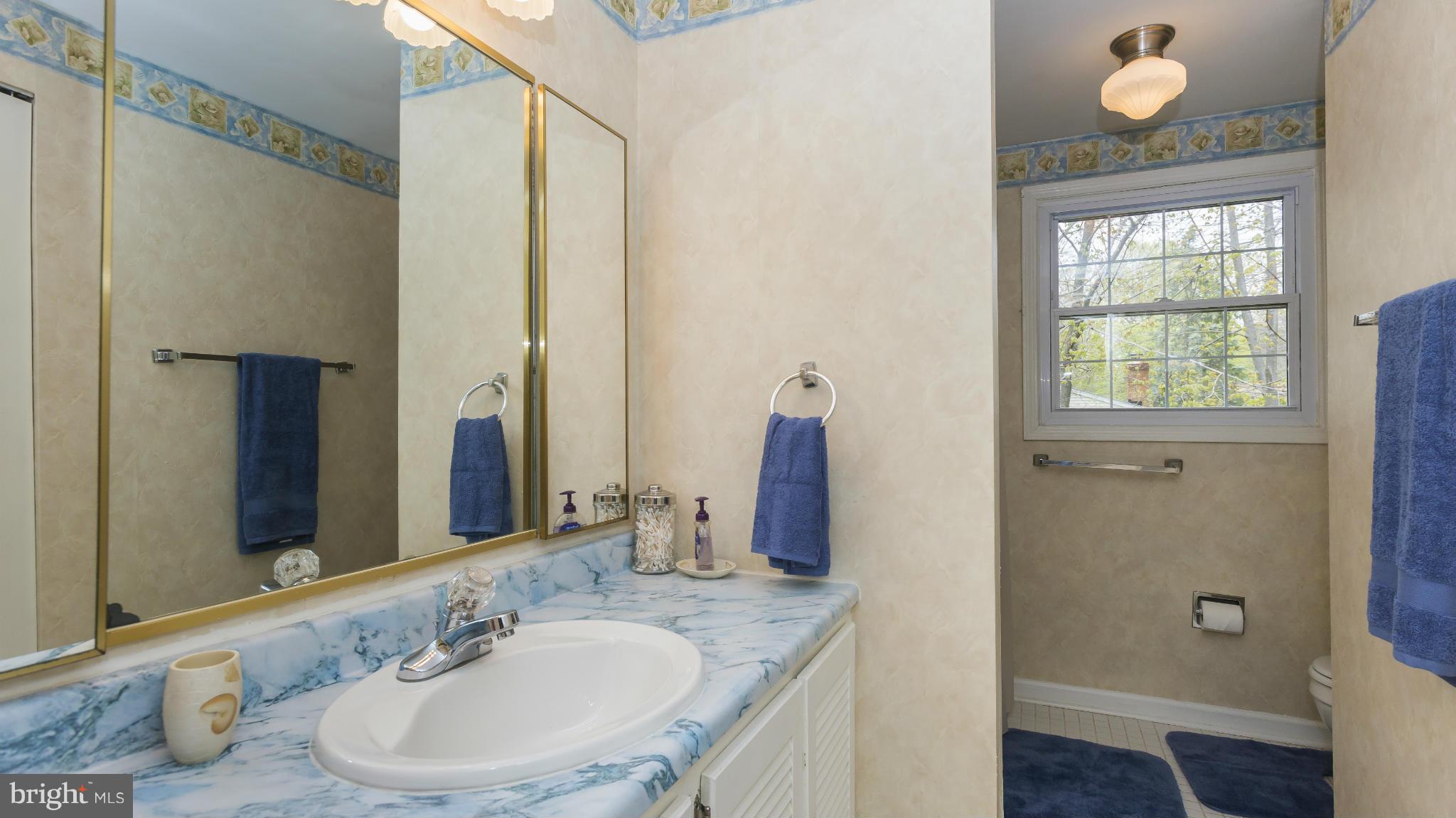 6072 Sunny Spring Columbia, MD 21044 - Photo 22 of 30 Bath