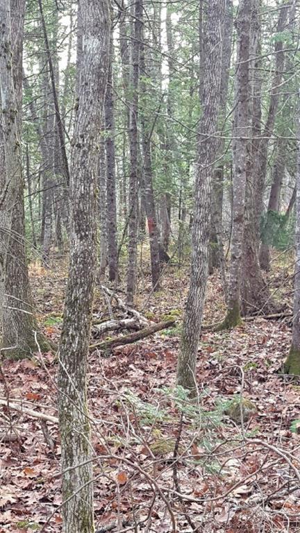455 Wentworth Road Embden, ME 04958 - Photo 30 of 35 Marker seen in the woods behind the...
