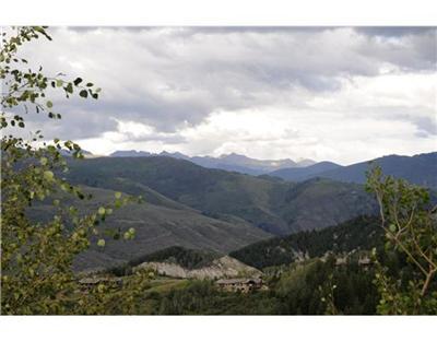 1247 Bachelor Ridge Road Beaver Creek, CO 81620 - Photo 20 of 20 Additional Photo