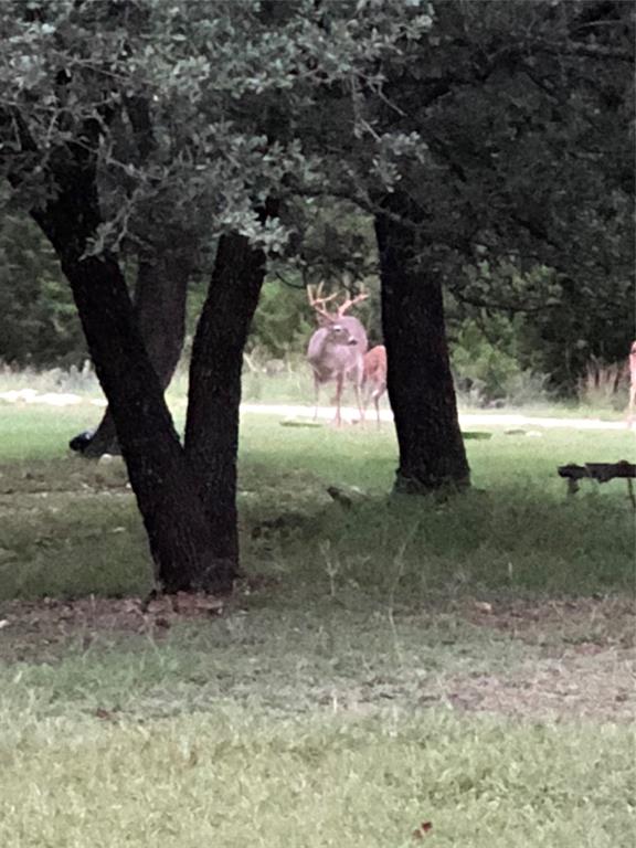 1524 Morgan Tx 76671 Morgan, TX 76671 - Photo 12 of 14 a view of a tree in the yard