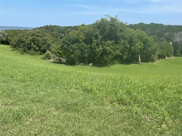 a view of a lush green space with houses in the back