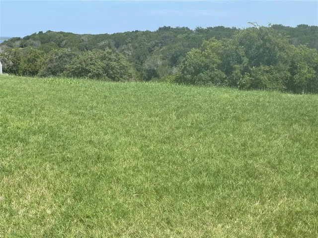 a view of a lush green outdoor space with a lake view