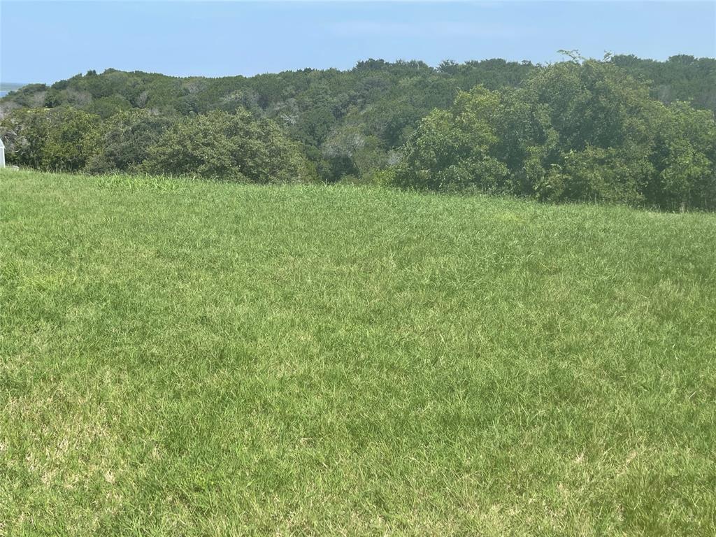 1524 Morgan Tx 76671 Morgan, TX 76671 - Photo 3 of 14 a view of a lush green outdoor space with a lake view