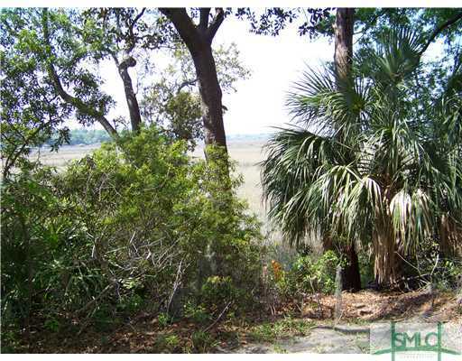 117 North Marsh Road Savannah, GA 31410 - Photo 4 of 21 Other.