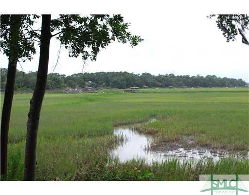 117 North Marsh Road Savannah, GA 31410 - Photo 8 of 21 Other.