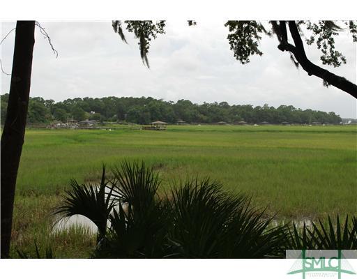 117 North Marsh Road Savannah, GA 31410 - Photo 10 of 21 Other.
