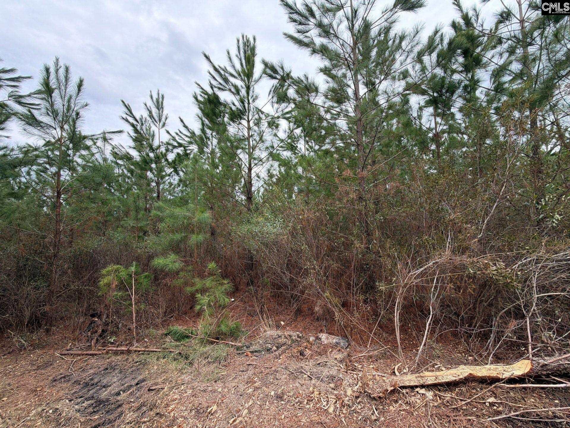 3 Jc Barefoot Road, Unit BFF II 3 Patrick, SC 29584 - Photo 8 of 23