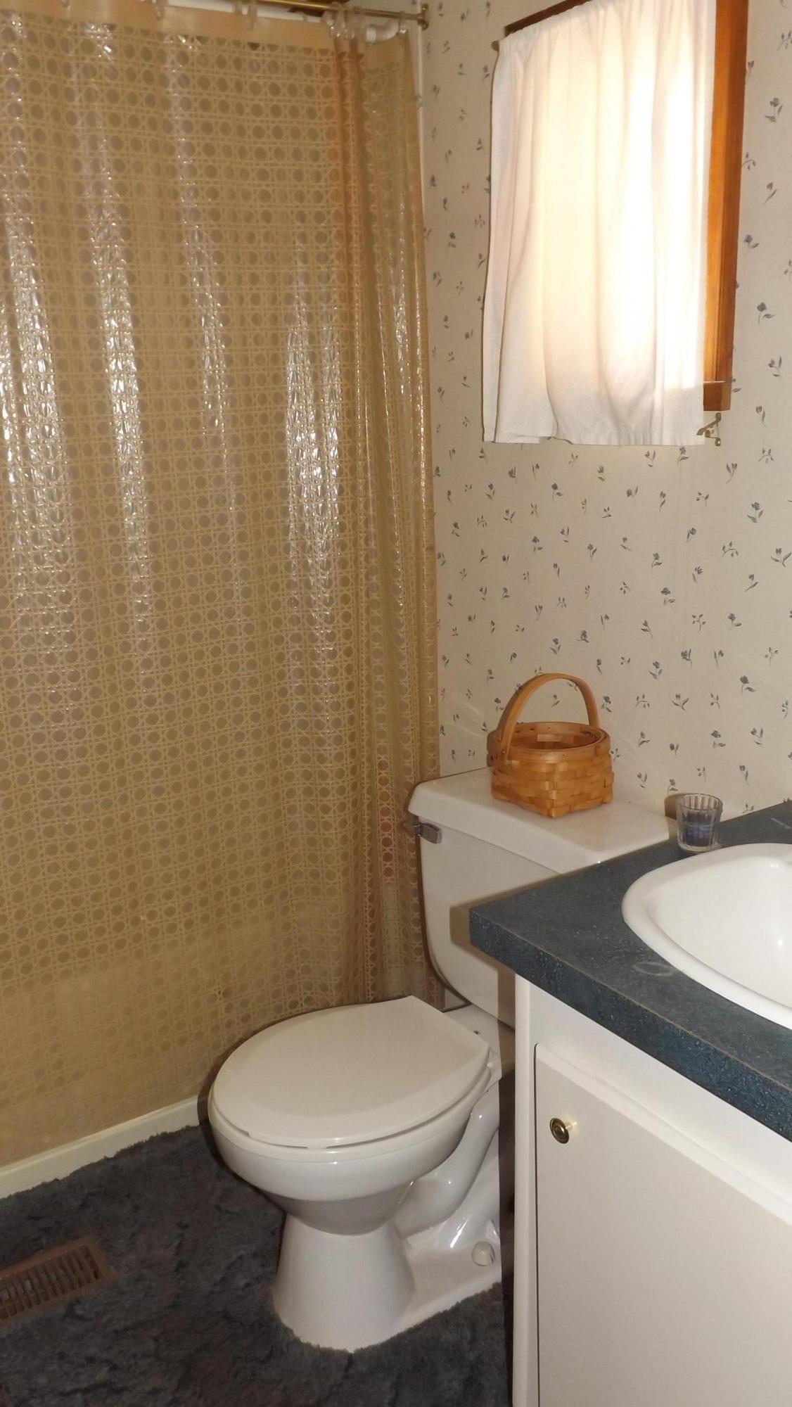 4209 Caldwell Road Loudon, TN 37774 - Photo 13 of 22 Guest Bath