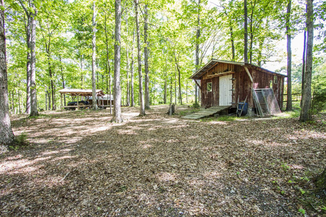 4209 Caldwell Road Loudon, TN 37774 - Photo 5 of 22 Tons of storage