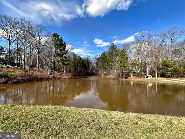2086 Bethlehem Church Road Grantville, GA 30220 - Photo 68 of 69