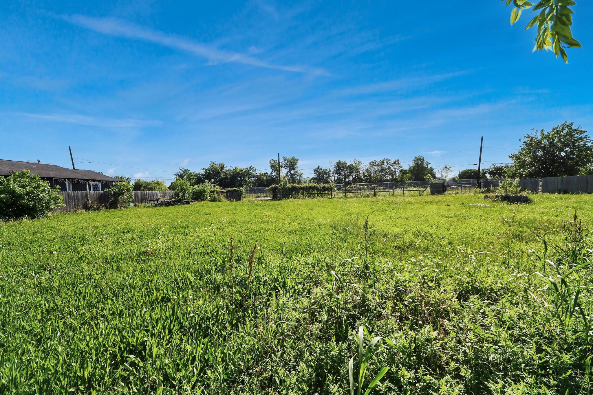 1403 Press Street Houston, TX 77020 - Photo 5 of 11 Green lot