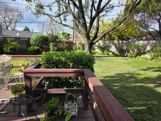 a view of a patio with lawn chairs potted plants and large tree