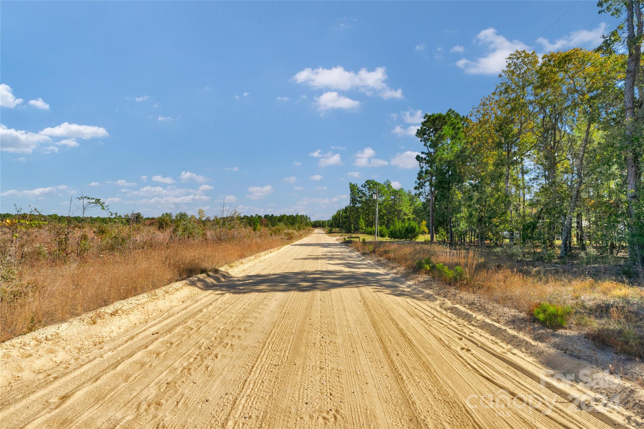 0 Riley Road, Unit 5 Chesterfield, SC 29709 - Photo 8 of 20 a view of lake