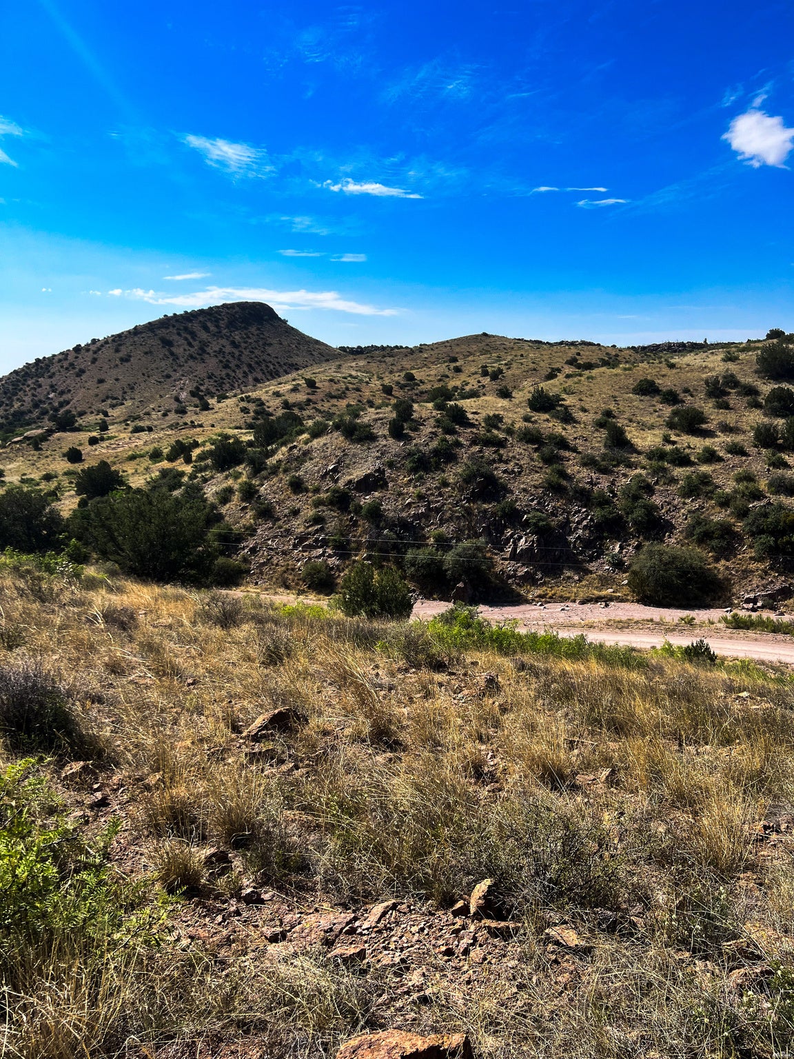 81 Berrenda Road Hillsboro, NM 88042 - Photo 16 of 52 Gallery Image 16