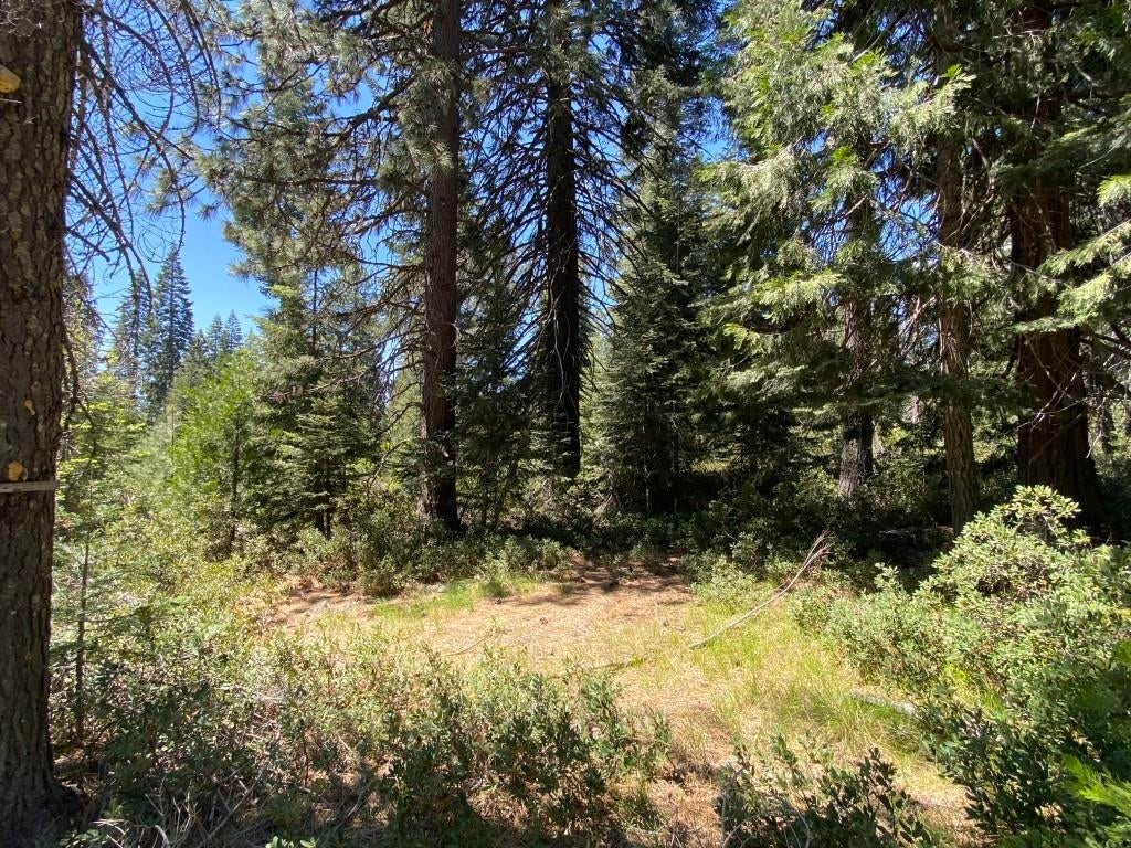 3-e-42 Red Fir Road McCloud, CA 96057 - Photo 10 of 20 Gallery Image 10