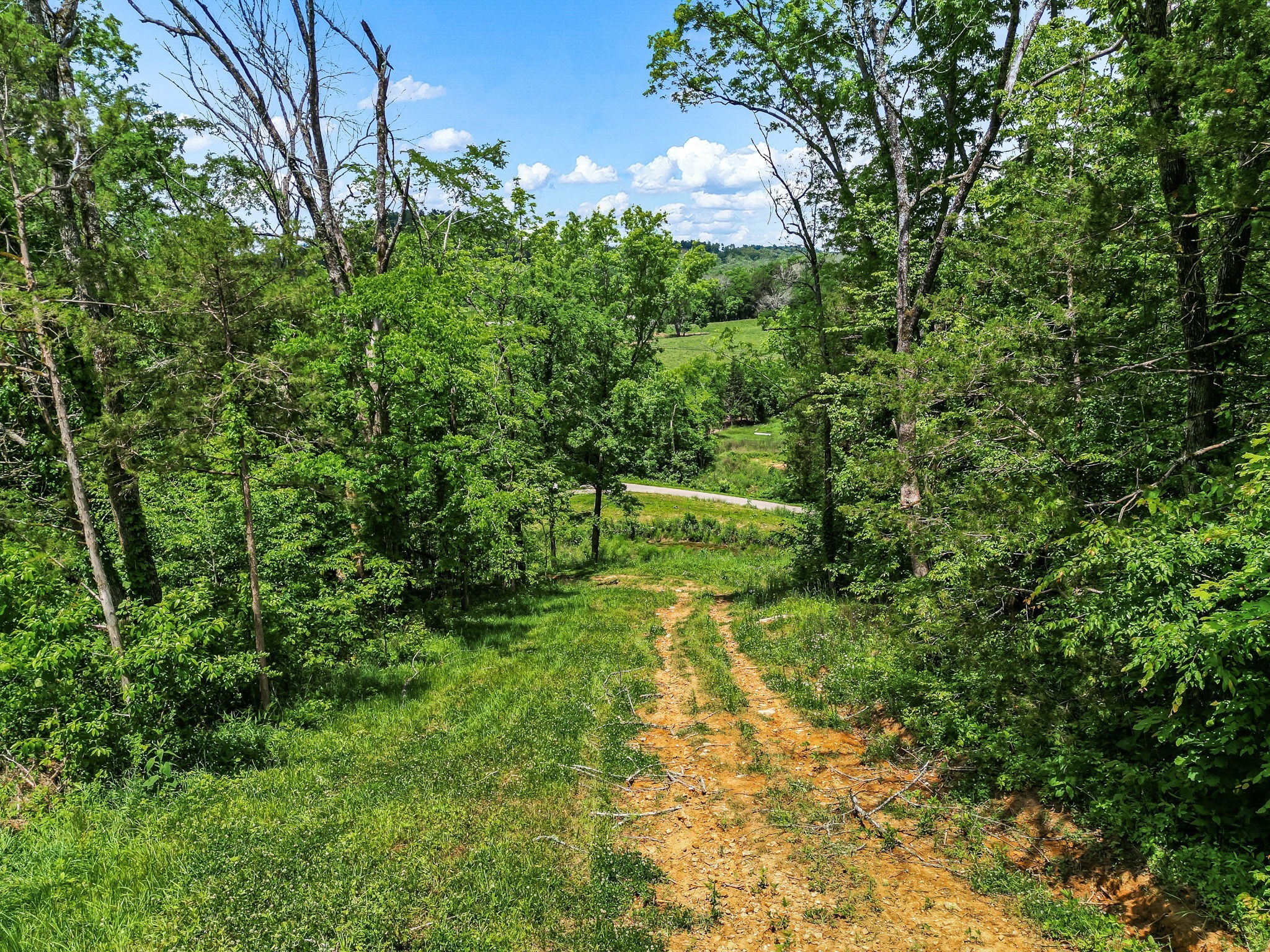 0 Rudd Branch Road Fayetteville, TN 37334 - Photo 12 of 17 Gallery Image 12