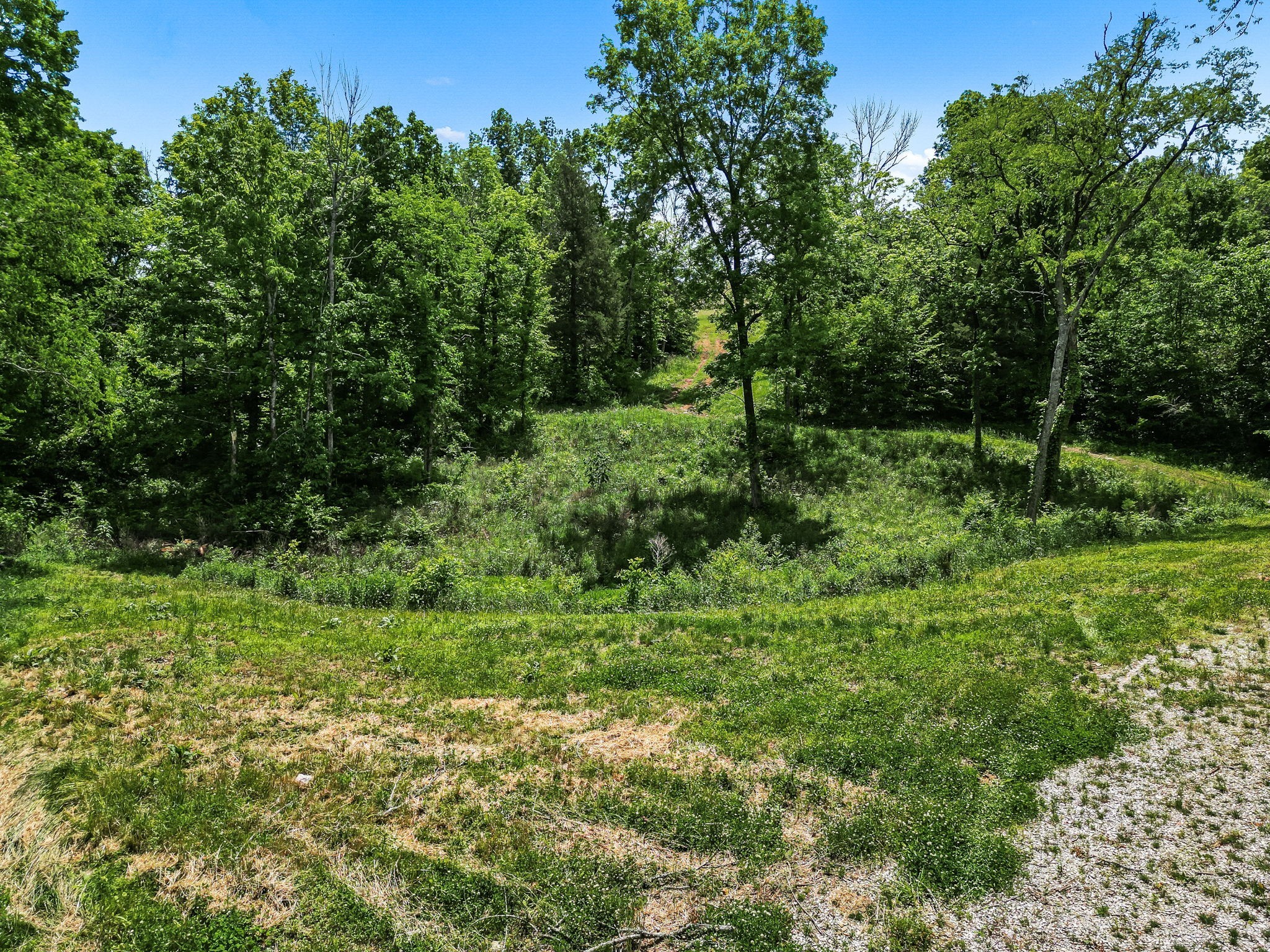 0 Rudd Branch Road Fayetteville, TN 37334 - Photo 9 of 17 Gallery Image 9