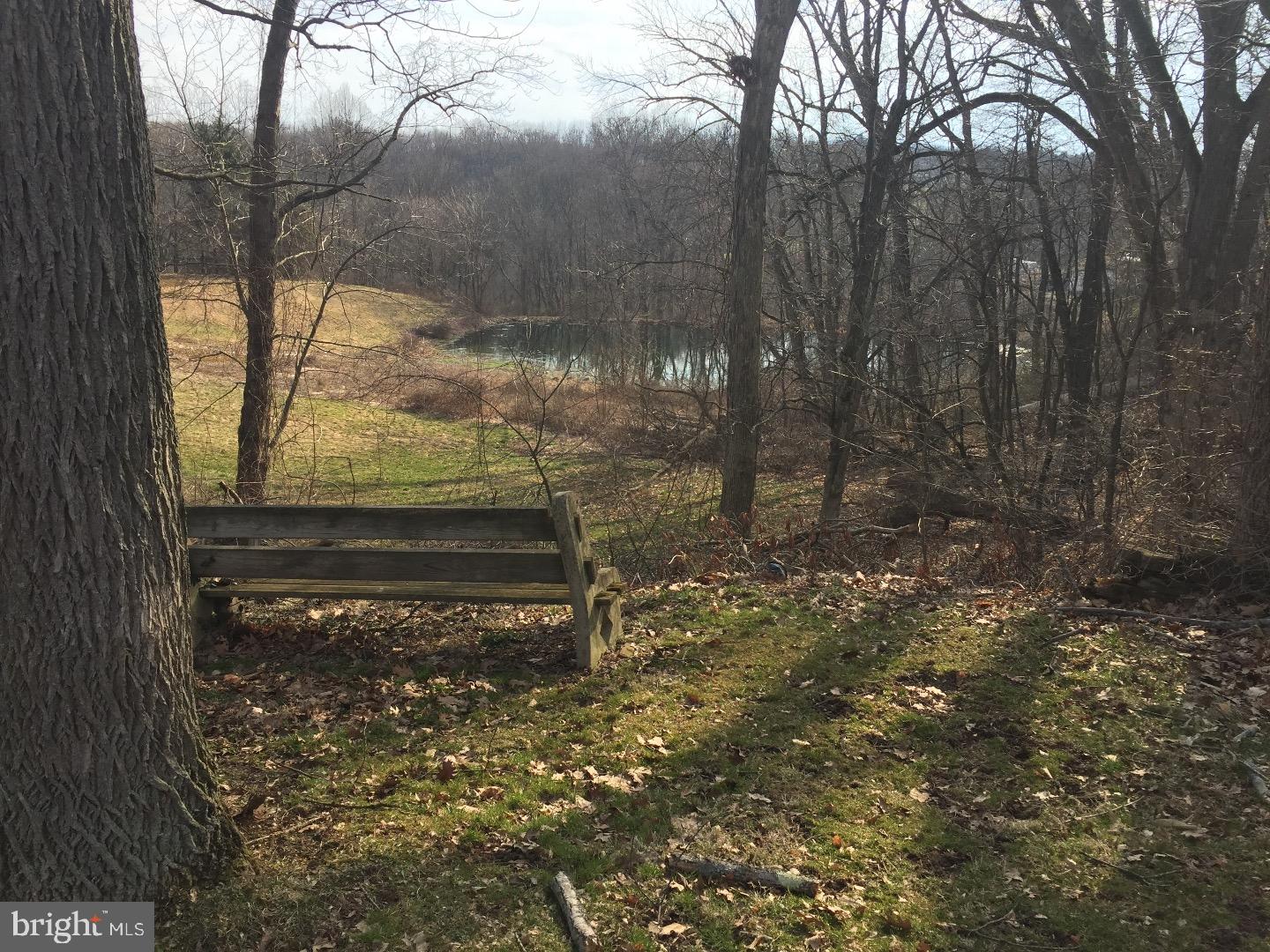 143 Barry Road Ashland, PA 17921 - Photo 18 of 21 a view of a yard with trees in the background