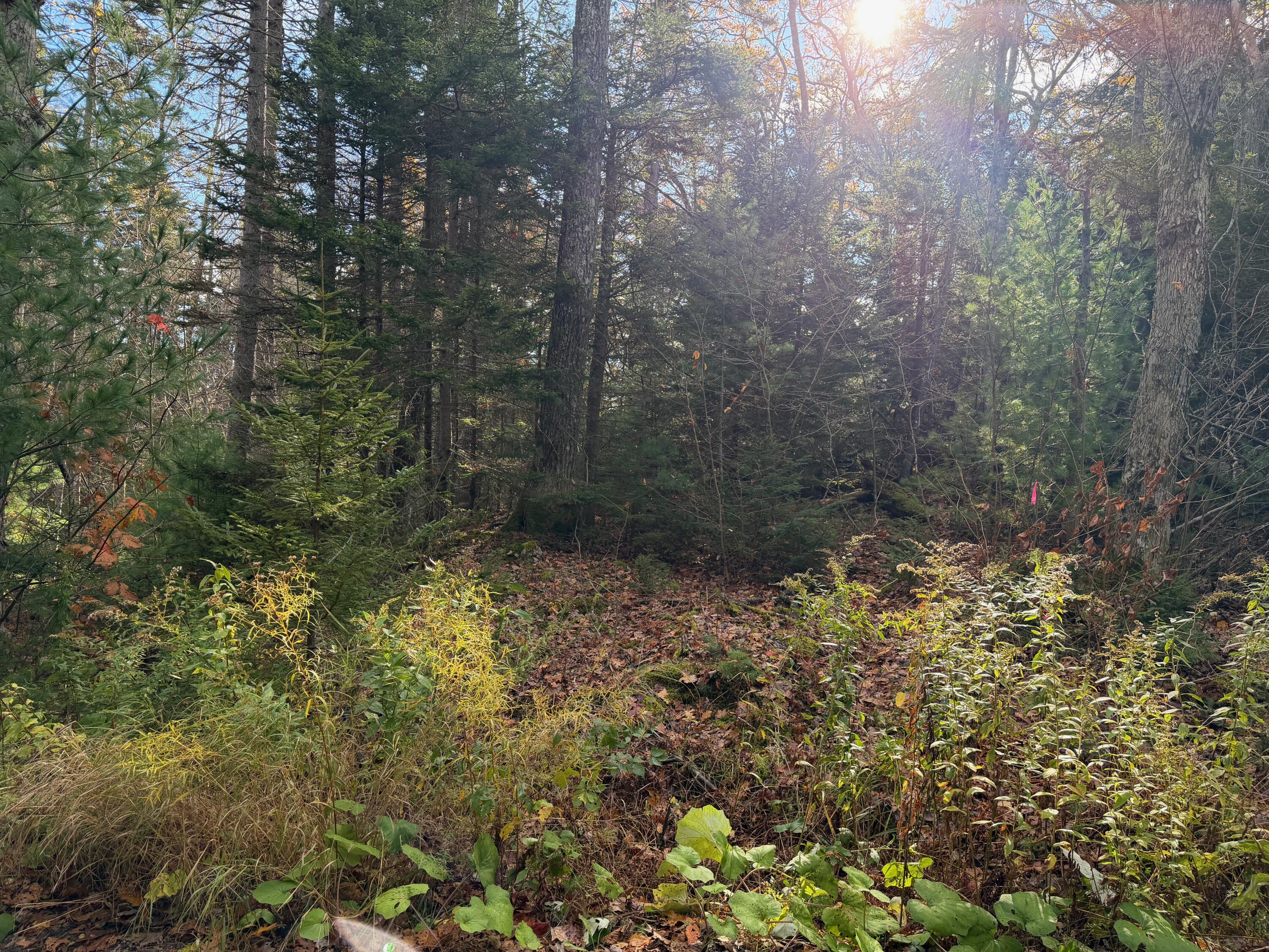 0 Lockhart Cv Road Pemaquid, ME 04558 - Photo 7 of 7