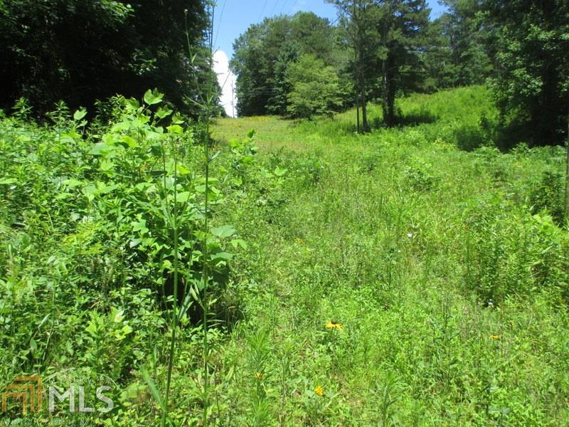 0 Sowers Road, Unit 2 17 ACRES Blue Ridge, GA 30513 - Photo 1 of 1