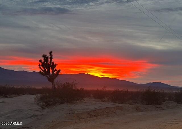 19532 South Lone Ranger Road Yucca, AZ 86438 - Photo 34 of 42 IMG_6813