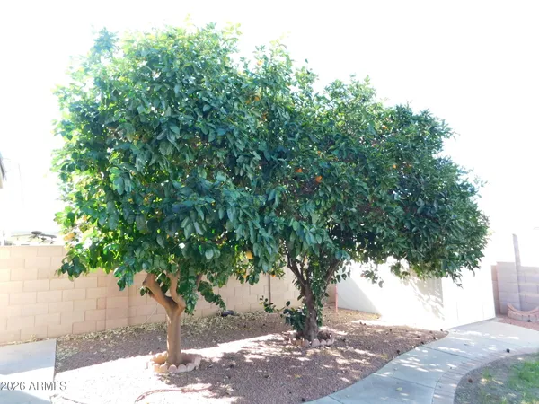 $499,990 | 10458 East El Moro Avenue, Mesa, AZ 85208