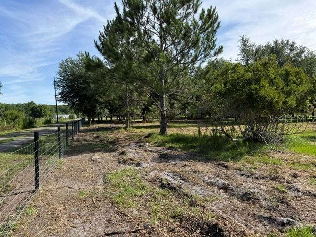 7214 Oil Well Road Clermont, FL 34714 - Photo 8 of 16 a view of backyard with green space