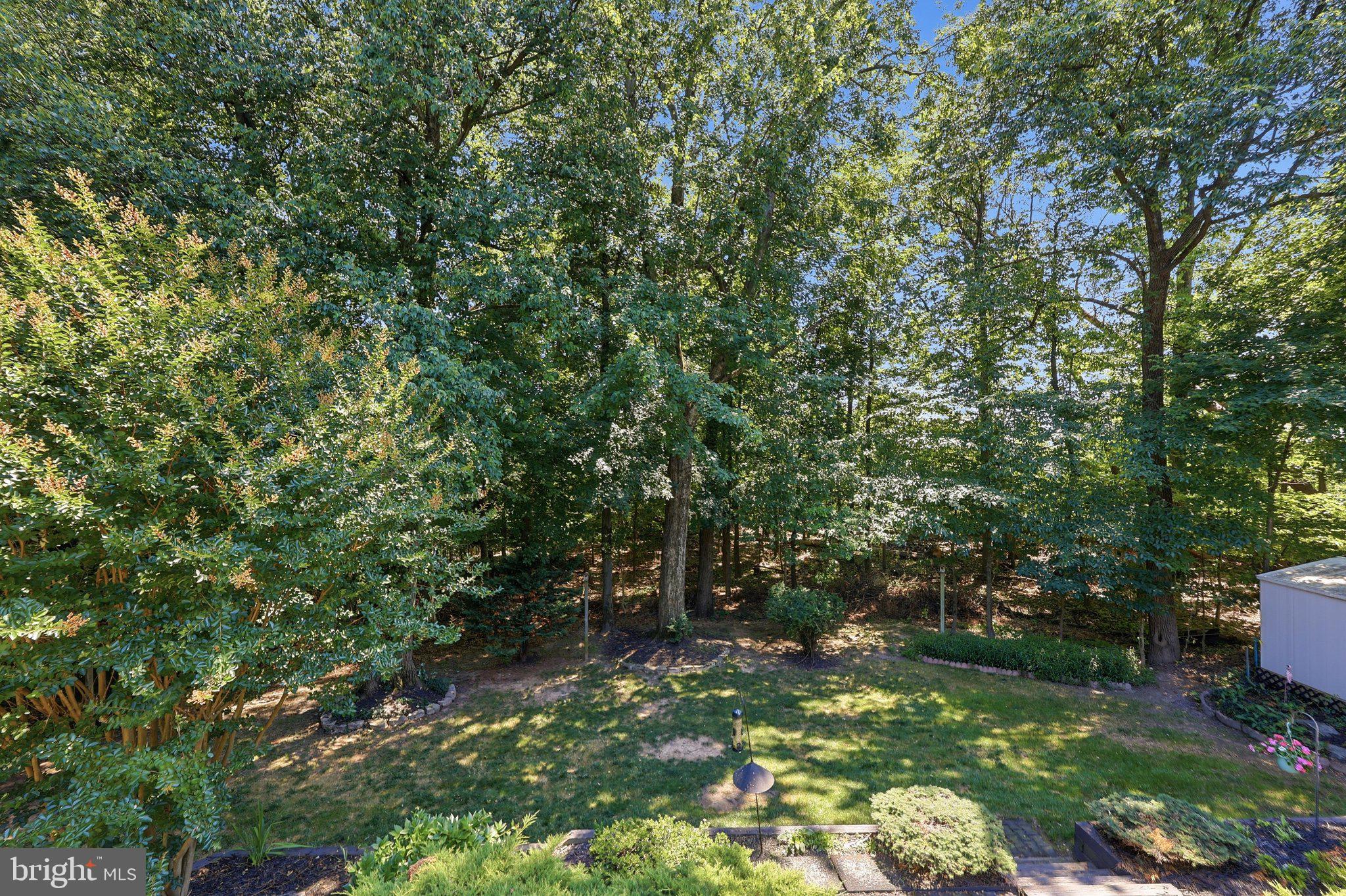 6154 Downs Ridge Court Elkridge, MD 21075 - Photo 20 of 58 wooded view