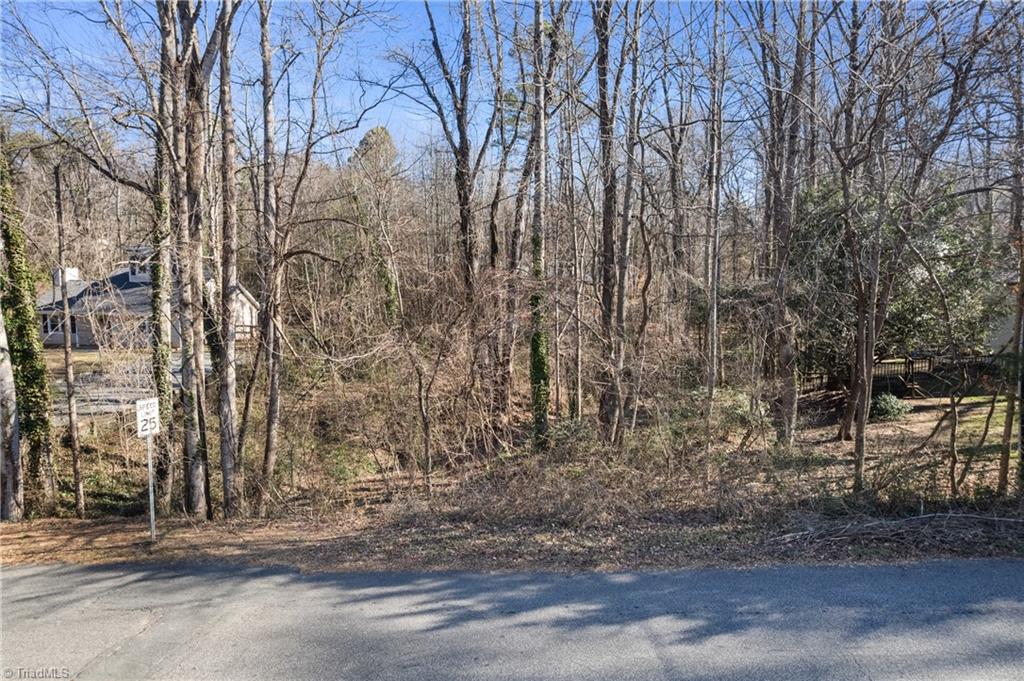 0 Linbrook Drive Winston-Salem, NC 27106 - Photo 5 of 14