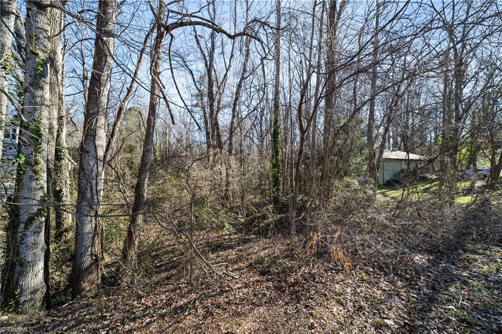 0 Linbrook Drive Winston-Salem, NC 27106 - Photo 8 of 14